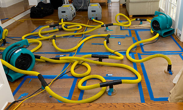 Professional Flood Damage Restoration technician working in Castle Rock, CO